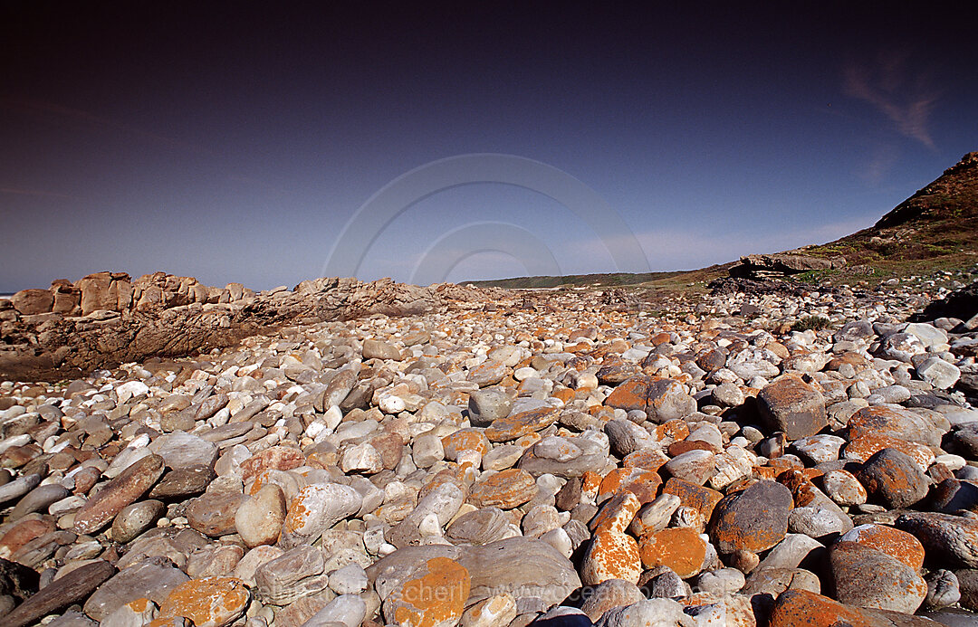 Felskueste, Port Elizabeth, Ibhayi, Sdafrika, Suedafrika