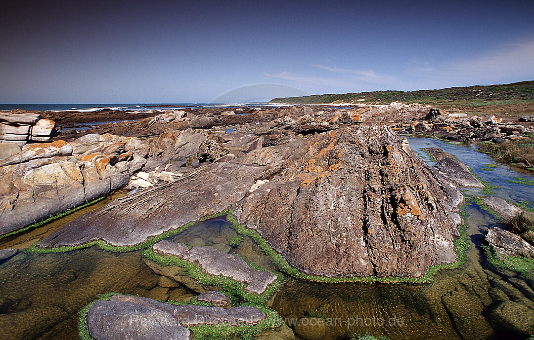 Felskueste, Port Elizabeth, Ibhayi, Sdafrika, Suedafrika