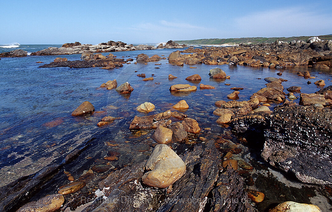 Felskueste, Port Elizabeth, Ibhayi, Sdafrika, Suedafrika