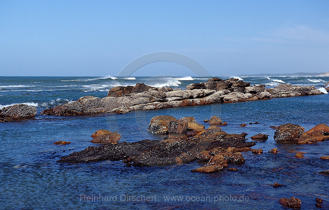 Felskueste, Port Elizabeth, Ibhayi, Sdafrika, Suedafrika