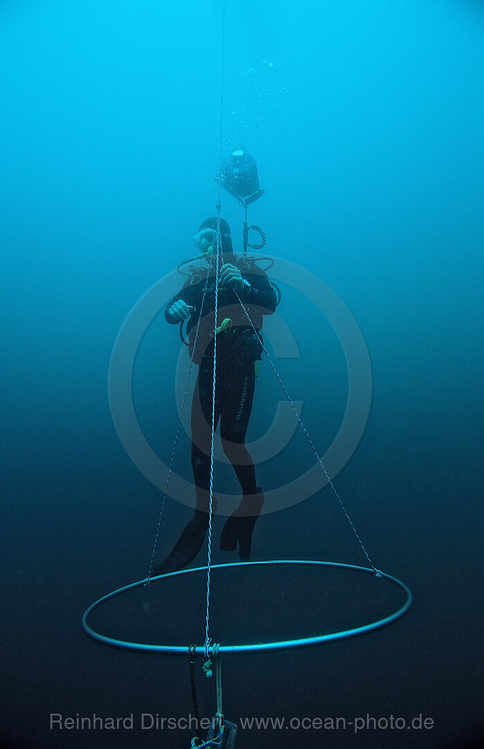 Scuba diver at decompression stop, Port Elizabeth, Ibhayi, Madiba Bay, Indian Ocean, South Africa