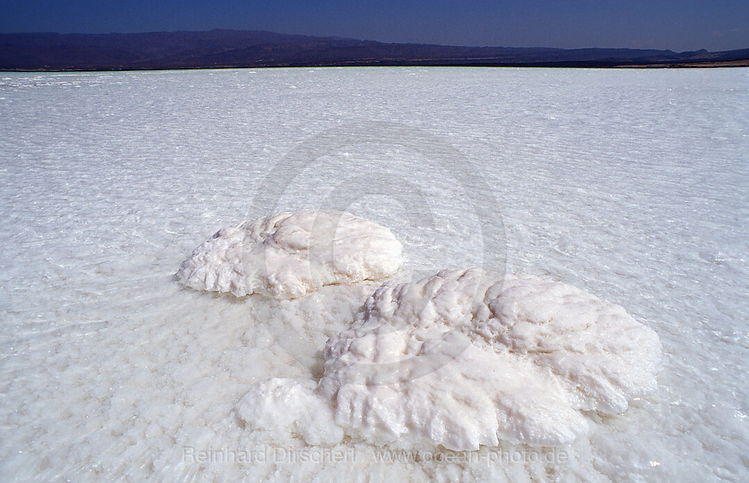 Lac Assal, Lake Assal