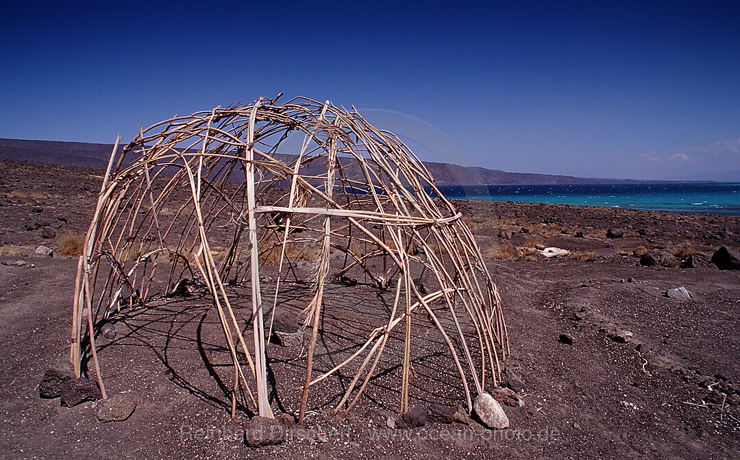 Wuestencamp von Afar Nomaden, Afar Triangle, Djibouti, Dschibuti, Afrika