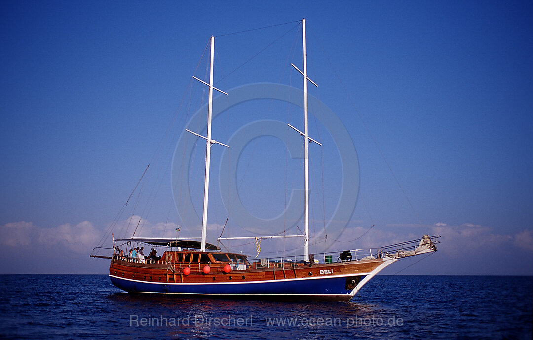 Tauchkreuzschiff MV Deli, Afar Dreieck, Golf von Aden, Golf von Tadjourah, Djibouti, Dschibuti, Afrika