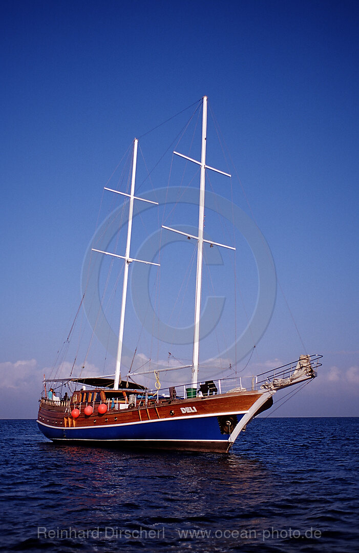 Liveaboard MV Deli