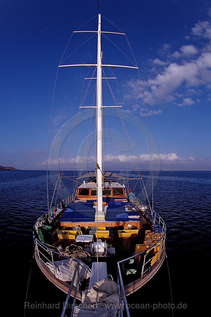 Tauchkreuzschiff MV Deli, Afar Dreieck, Golf von Aden, Golf von Tadjourah, Djibouti, Dschibuti, Afrika