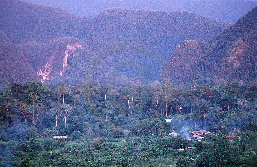 Punan Dorf im Regenwald, Borneo, Sarawak, Gunung Mulu NP, Malaysia