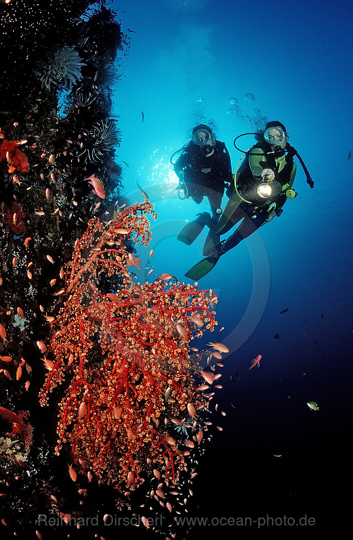 Two Scuba diver examine ship wreck Liberty