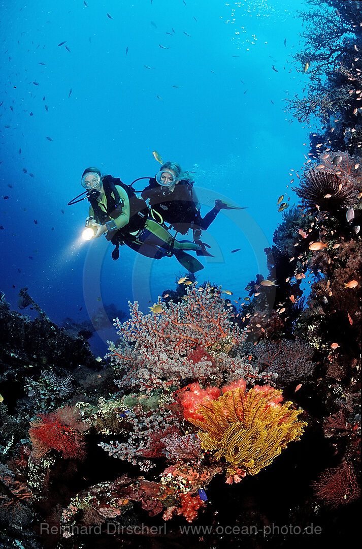 Two Scuba diver examine ship wreck Liberty