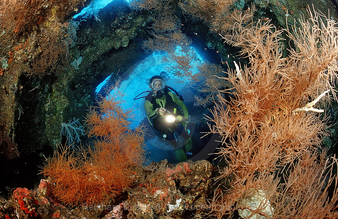 Scuba diver examines ship wreck Liberty