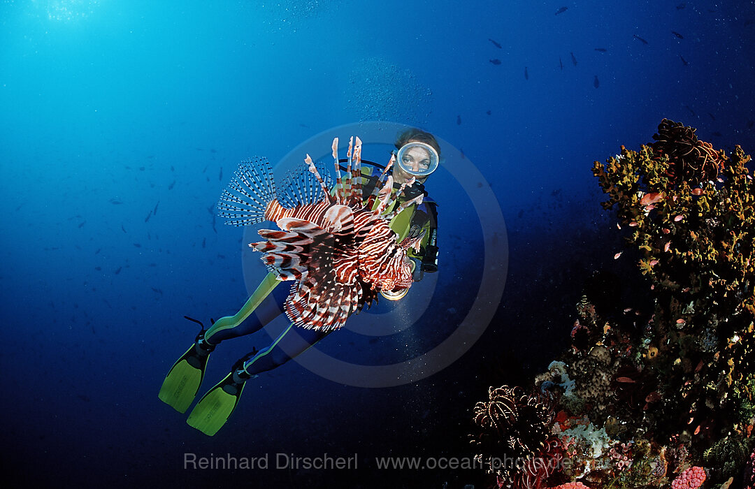 Lionfish and scuba diver
