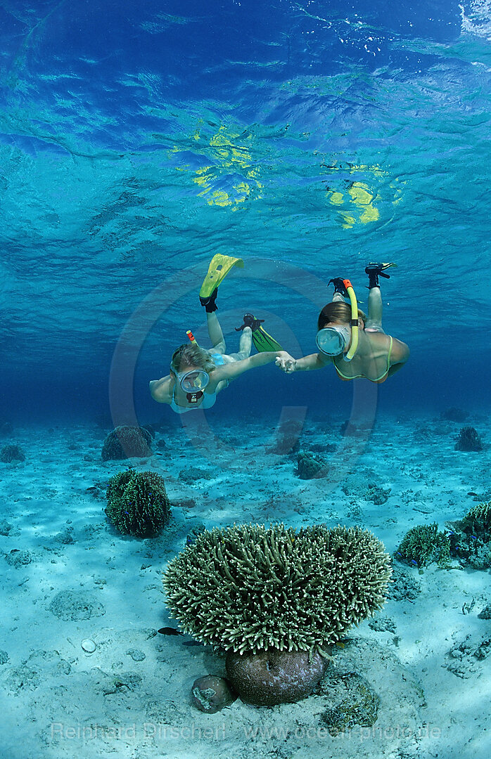 Zwei Frauen beim Schnorcheln, Bali, Indischer Ozean, Indonesien