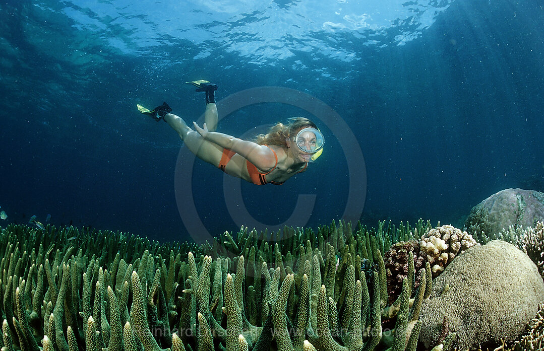 Frau beim Schnorcheln, Bali, Indischer Ozean, Indonesien