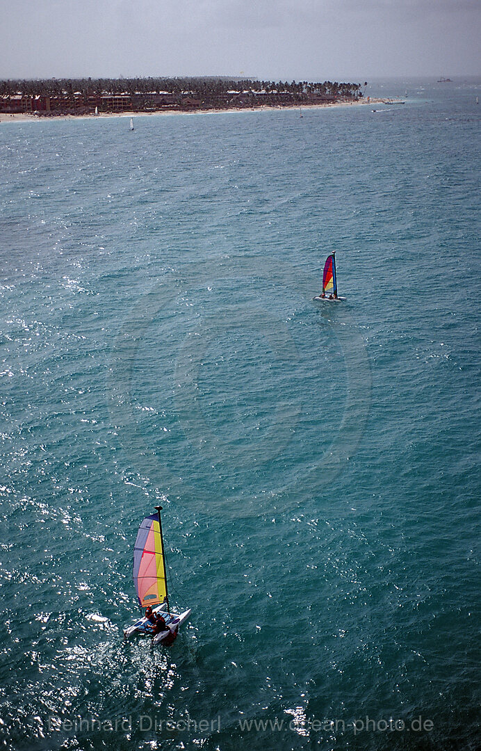 Catamaran, aerial view