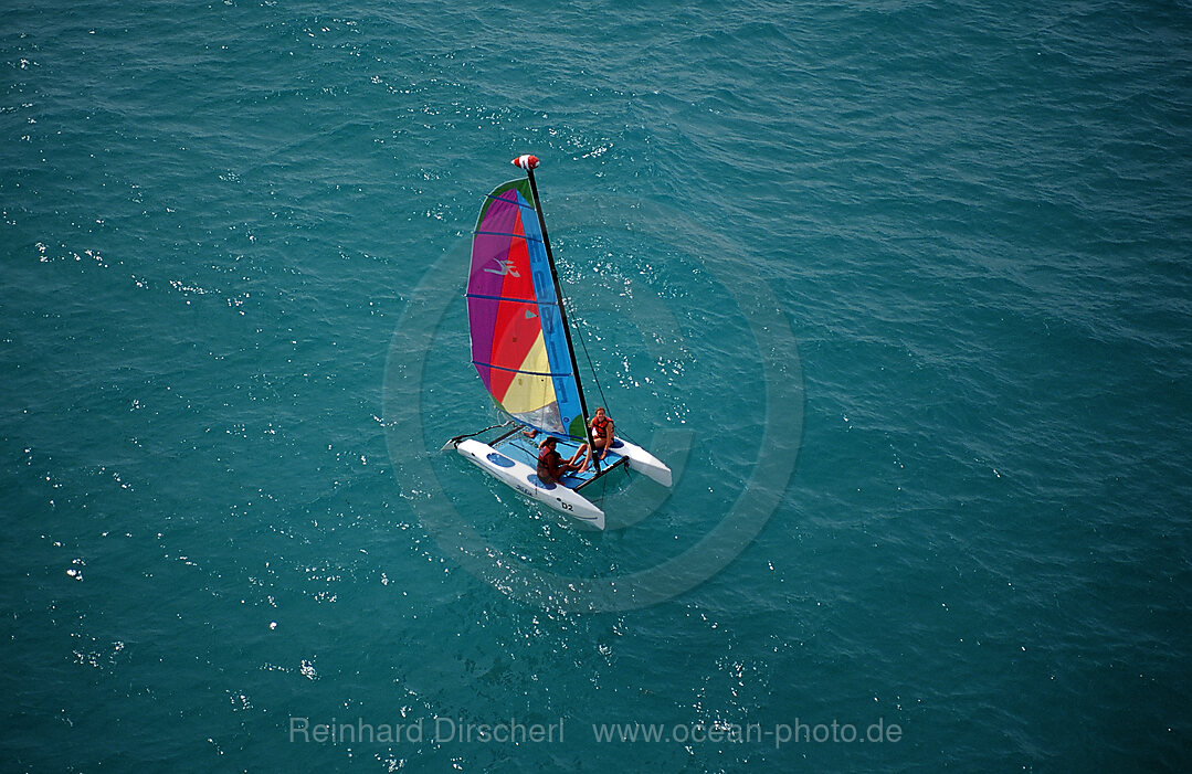 Catamaran, aerial view