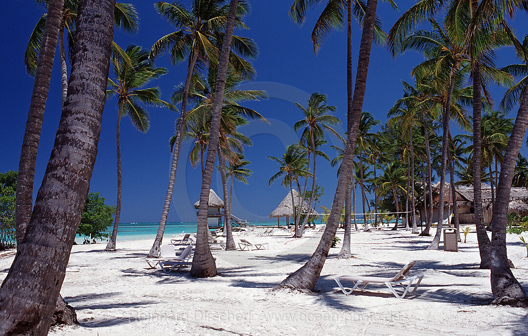 Sandstrand, Punta Cana, Karibik, Dominikanische Republik