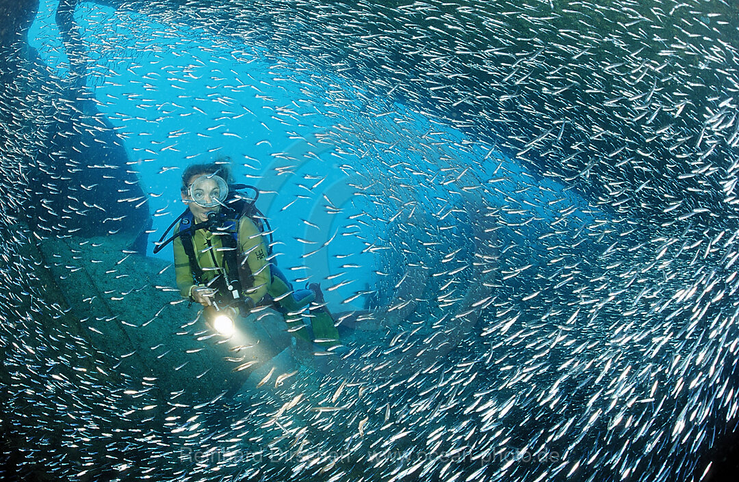 Taucher im Schiffswrack Patricia