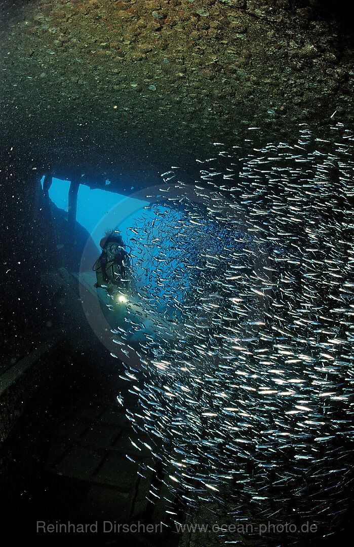 Taucher im Schiffswrack Patricia