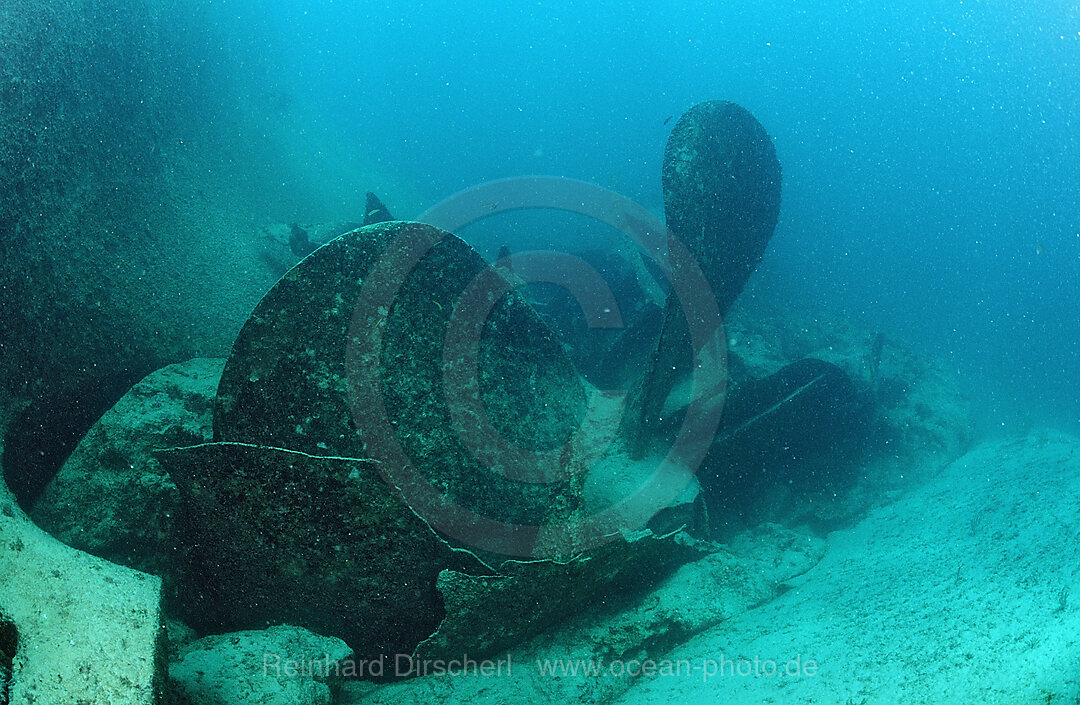 Schiffsschraube des Wracks Astron, Parapriacanthus ransonneti, Punta Cana, Karibisches Meer, Dominikanische Republik