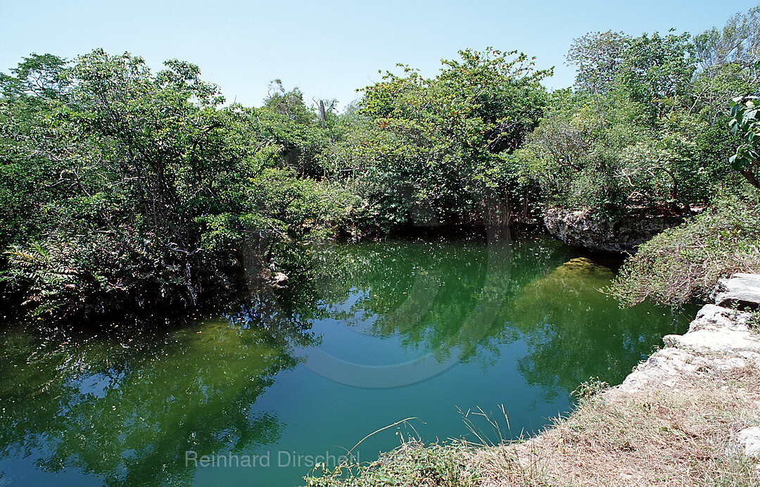 Hoehleneingang Laguna Pepe