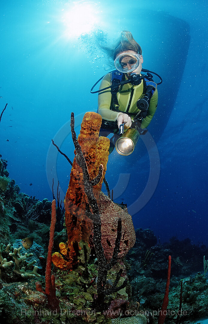 Scuba diver and Tube sponge