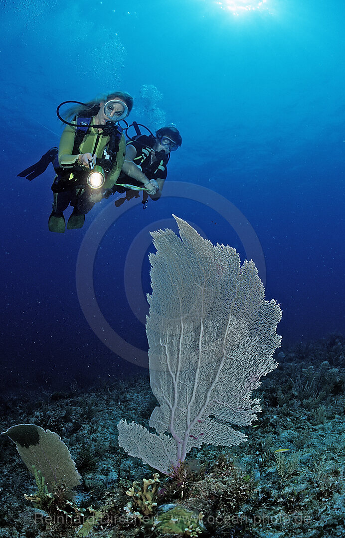 Scuba diving instructor and student