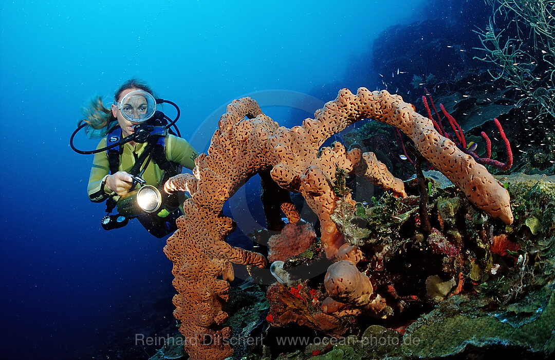 Scuba diver and Tube sponge