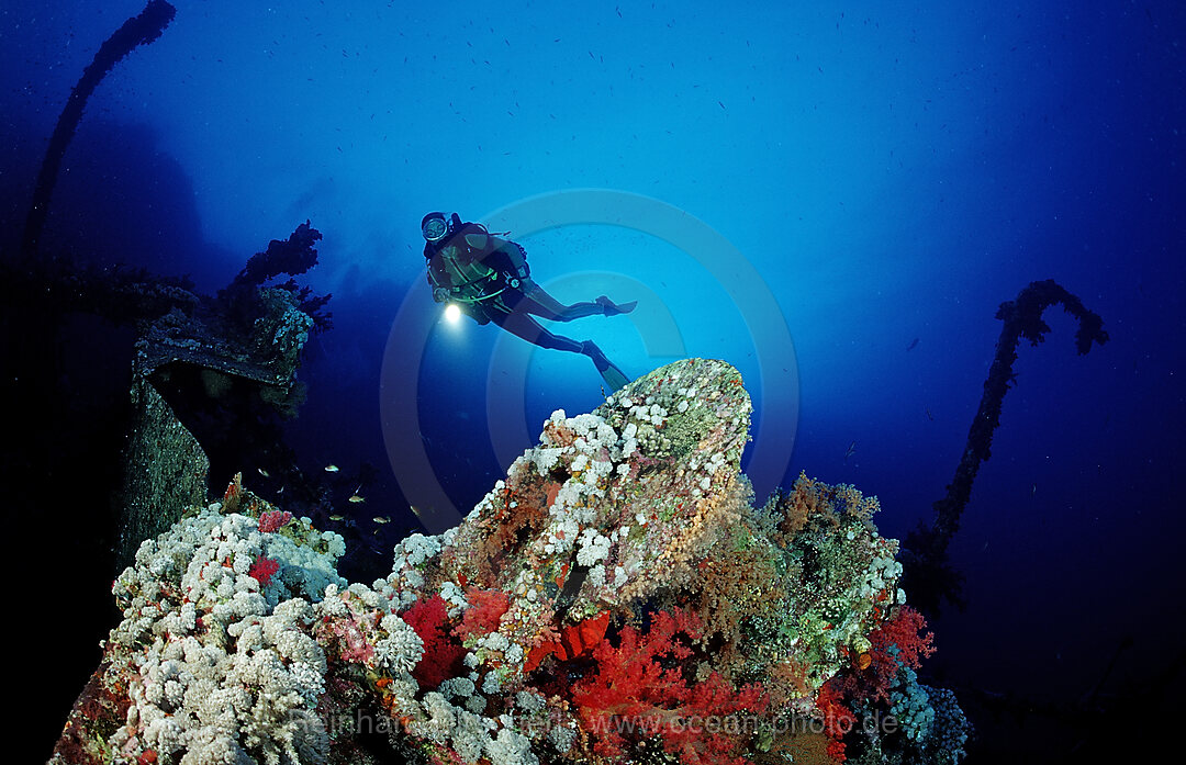 Scuba diver exploring shipwreck Numibia