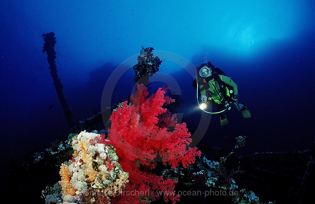 Scuba diver exploring shipwreck Numibia