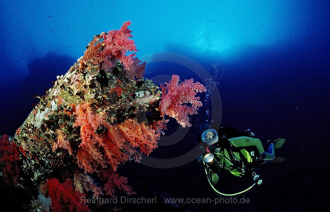 Scuba diver exploring shipwreck Numibia