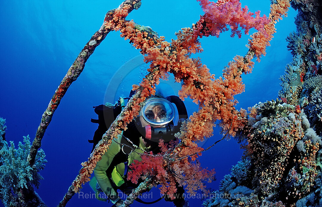 Scuba diver exploring the shipwreck Aida