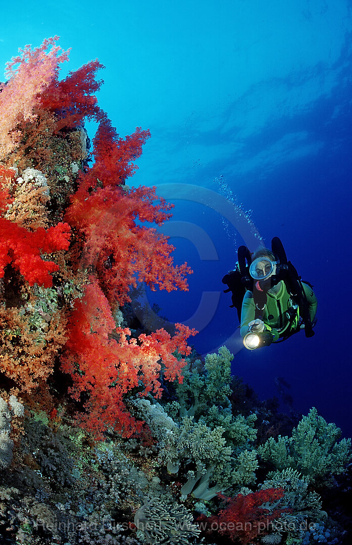Scuba diver and colorful coral reef