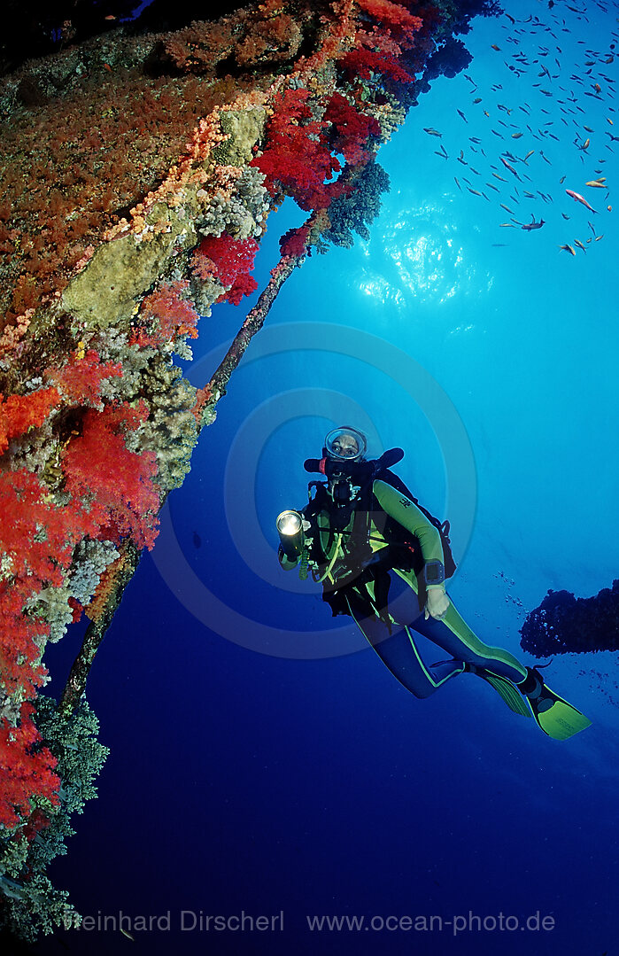 Scuba diver and colorful coral reef