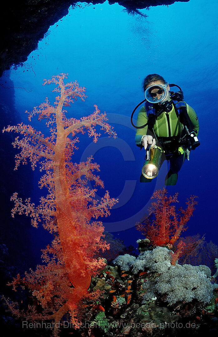 Scuba diver and colorful coral reef