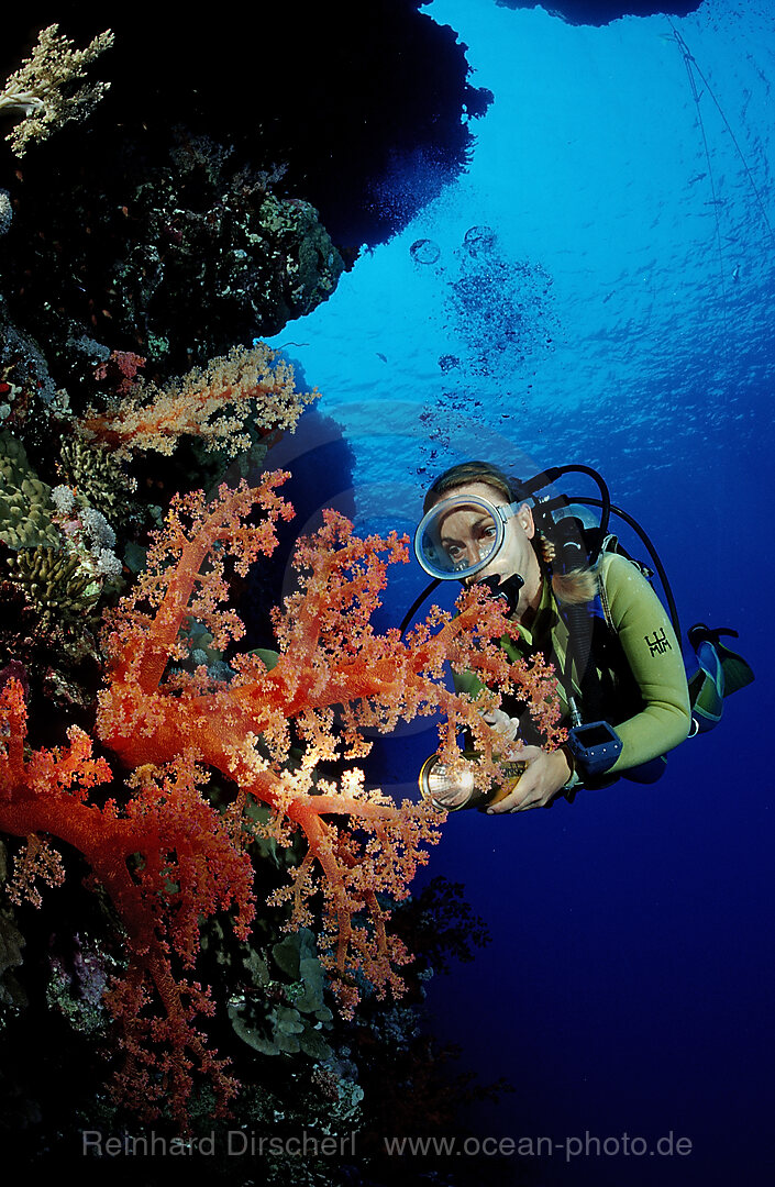 Scuba diver and colorful coral reef