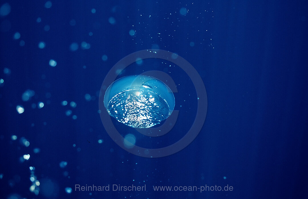air bubbles rising underwater