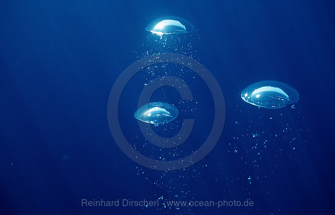 air bubbles rising underwater