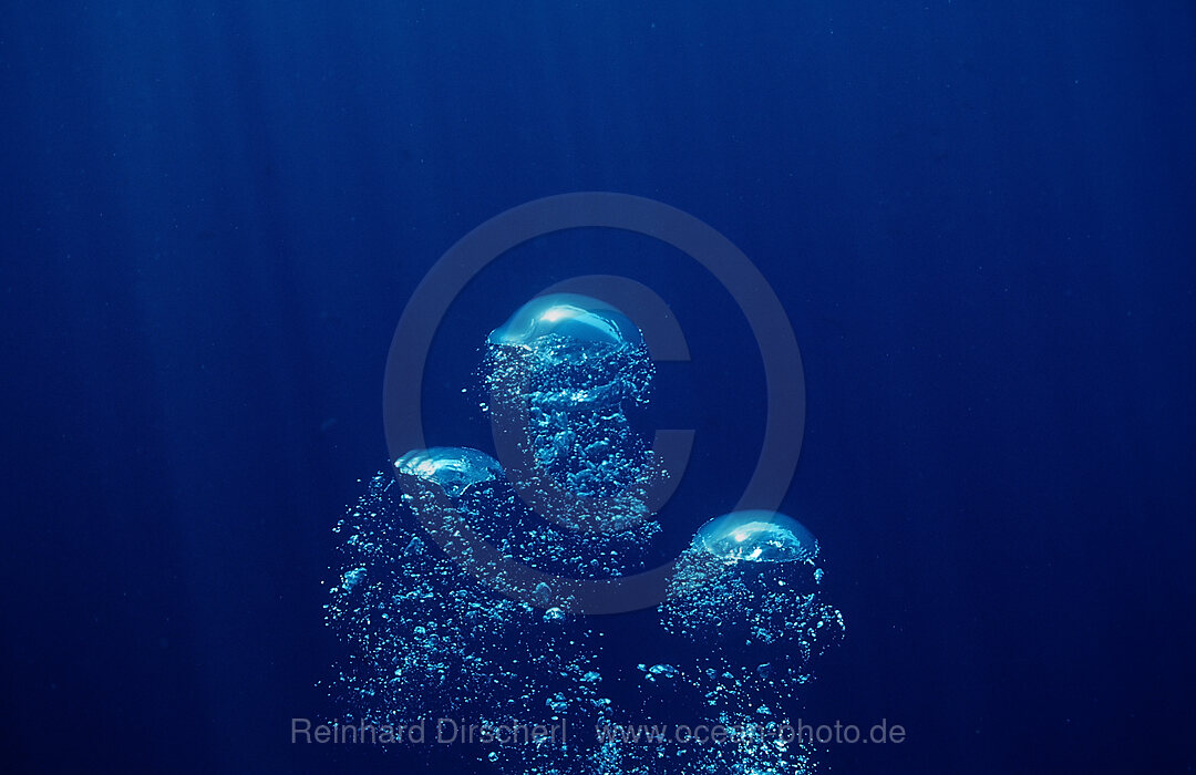air bubbles rising underwater