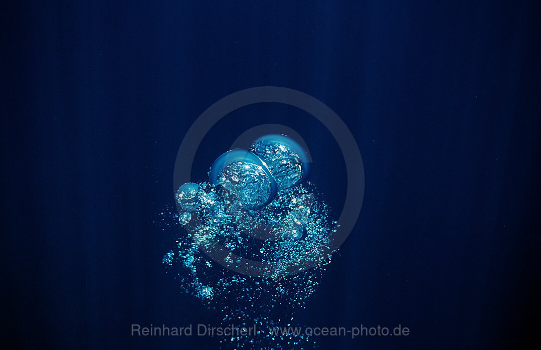 air bubbles rising underwater
