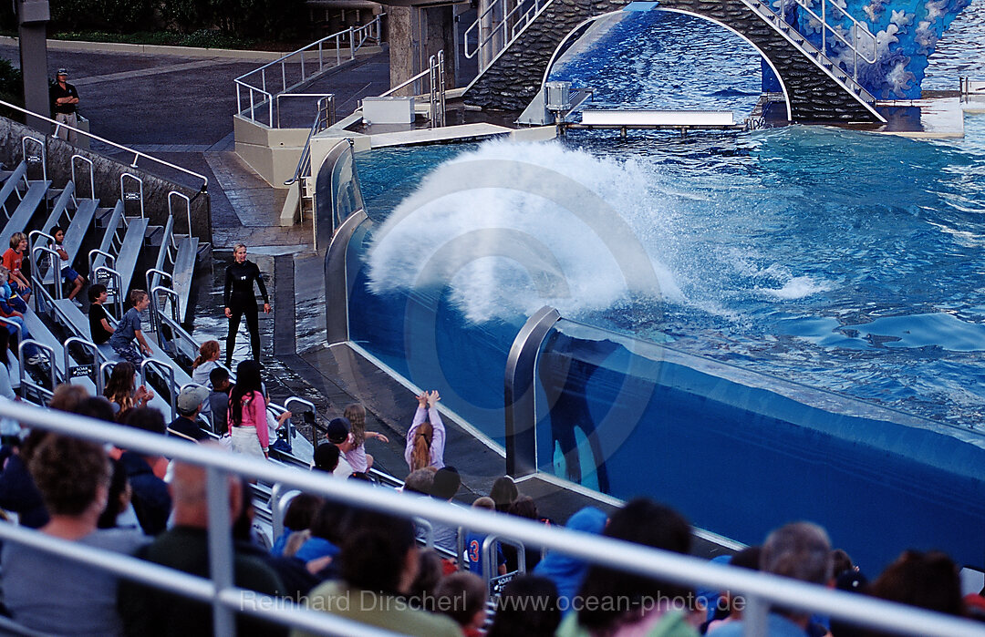 Orca im Freizeitpark spritzt Besucher nass, Orcinus orca, San Diego, SeaWorld, USA, Kalifornien