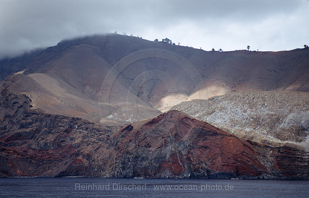Guadalupe Island