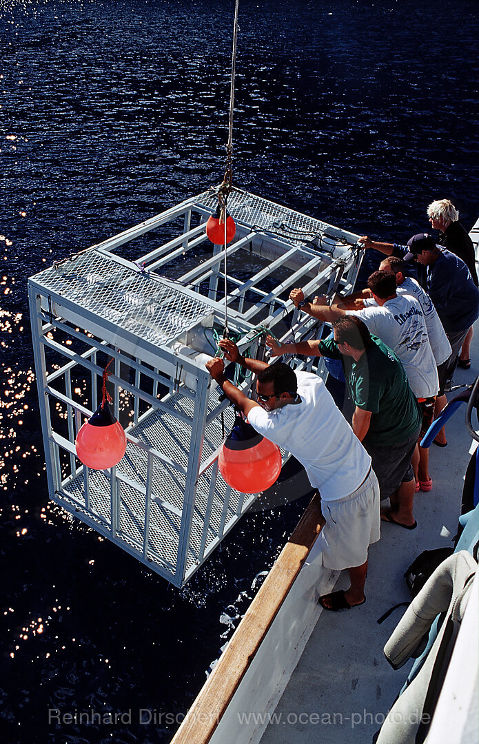 Shark cage