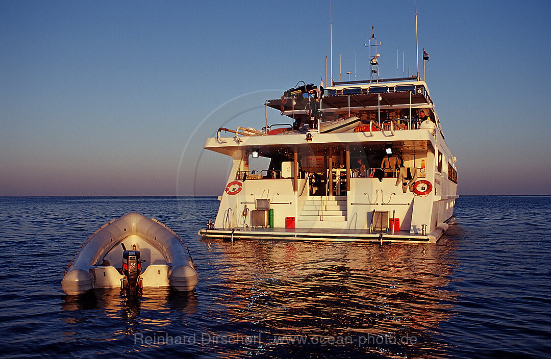 Tauchschiff Royal Evolution