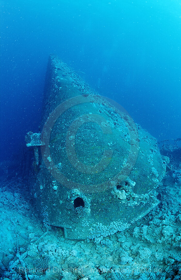Blue Belt shipwreck