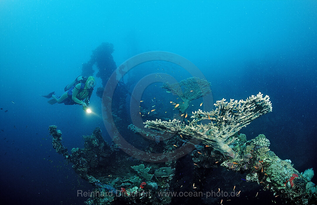 Scuba diver diving on Umbria shipwreck