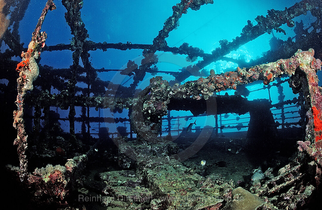 Scuba diver diving on Umbria shipwreck