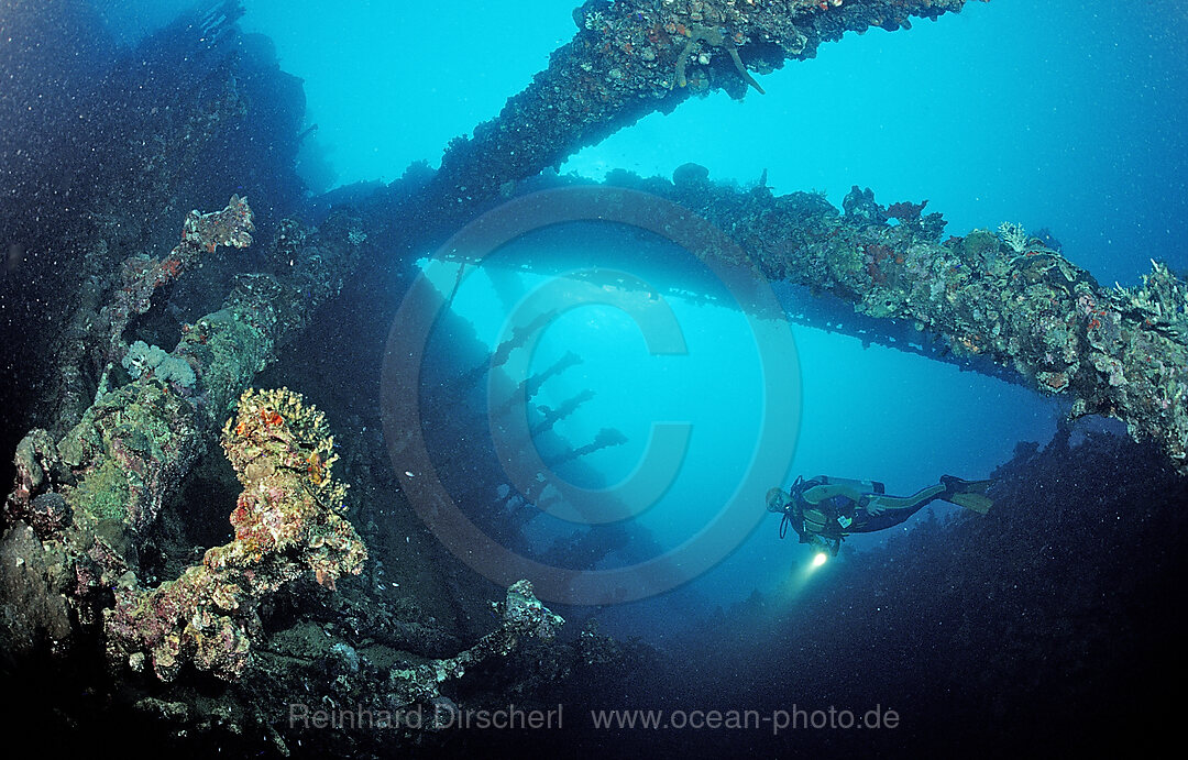 Scuba diver diving on Umbria shipwreck