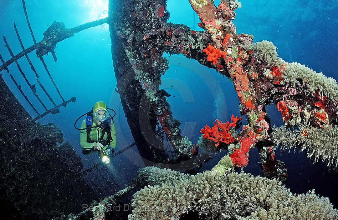 Scuba diver diving on Umbria shipwreck