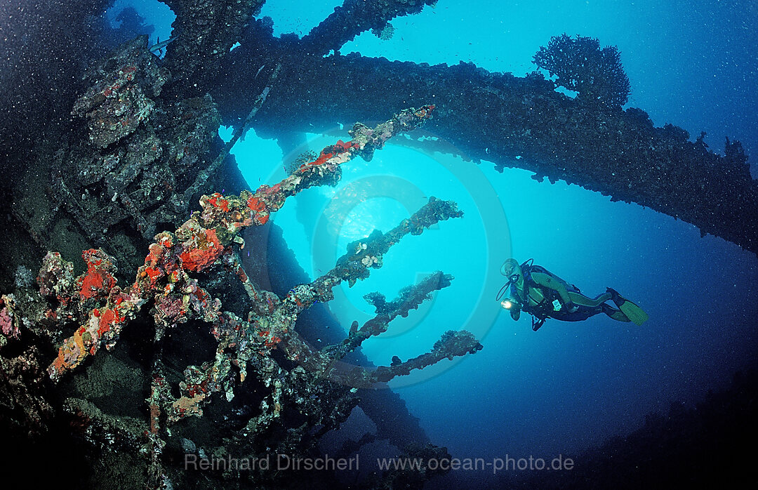 Taucher am Schiffswrack Umbria, Afrika, Rotes Meer, Wingate Riff, Sudan