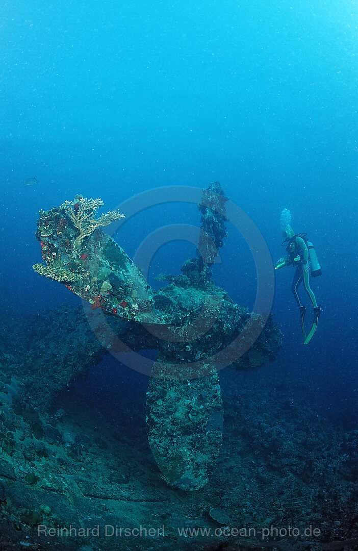 Scuba diver and propellor of shipwreck Umbria